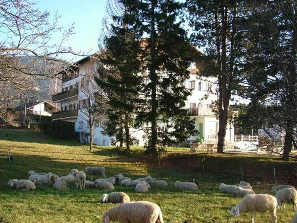 Hotel Due Pini Baselga di Pinè المظهر الخارجي الصورة